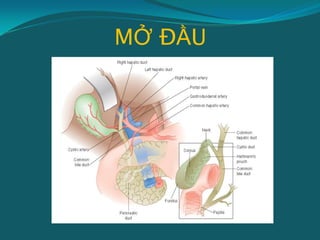 MỞ ĐẦU
 