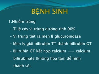 BỆNH SINH
1.Nhiễm trùng
- Tỉ lệ cấy vi trùng dương tính 90%
- Vi trùng tiết ra men ß glucuronidase
- Men ly giải bilirubin TT thành bilirubin GT
- Bilirubin GT kết hợp calcium calcium
bilirubinate (không hòa tan) dễ hình
thành sỏi.
 