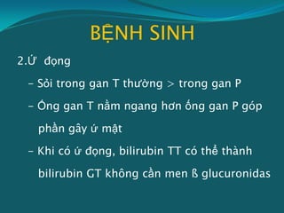 BỆNH SINH
2.Ứ đọng
- Sỏi trong gan T thường > trong gan P
- Ống gan T nằm ngang hơn ống gan P góp
phần gây ứ mật
- Khi có ứ đọng, bilirubin TT có thể thành
bilirubin GT không cần men ß glucuronidas
 