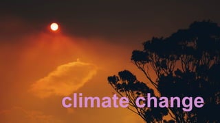 climate change
 