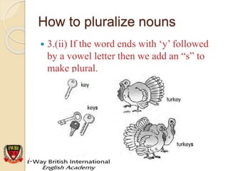Pluralize Singular plural nouns.English Sinhalen | PPSX