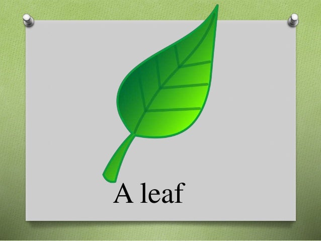 Singular and plural