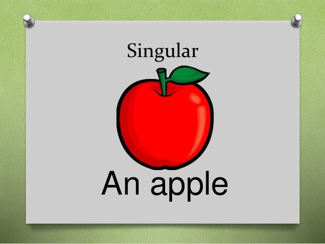 singular and plural