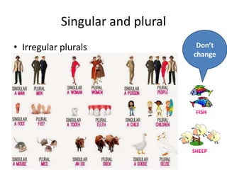 Singular and plural
• Irregular plurals
FISH
SHEEP
Don’t
change
 
