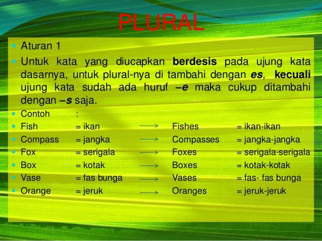 Singular And Plural