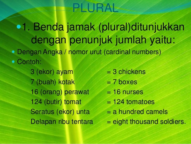 Singular And Plural