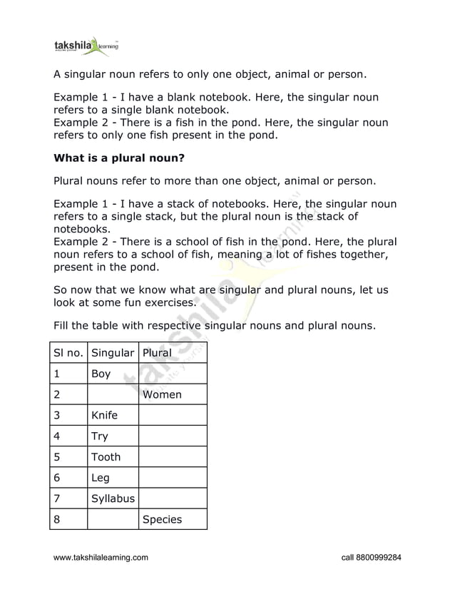 Singular and plural noun class 3 worksheet | PDF