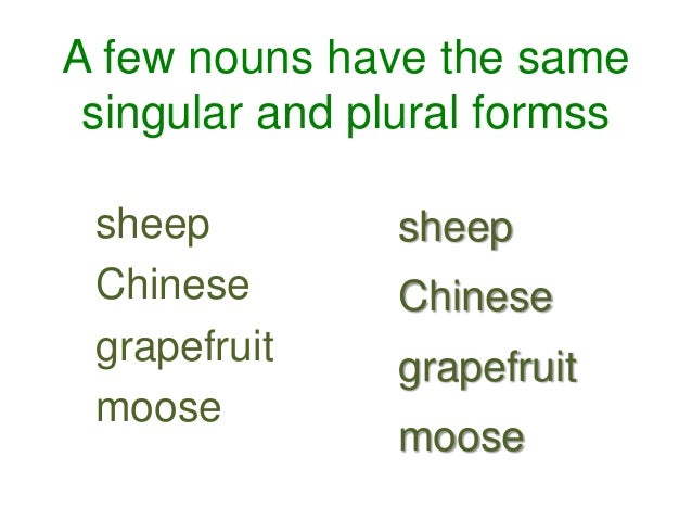 singular and plural nouns unit 2 plural form of moose