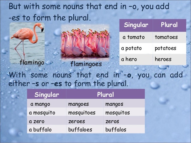 Singular and Plural Nouns