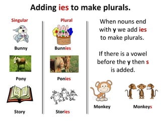 Adding ies to make plurals.
Bunny
Pony
Story
Bunnies
Ponies
Stories
Singular Plural When nouns end
with y we add ies
to make plurals.
If there is a vowel
before the y then s
is added.
Monkey Monkeys
 