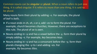 Singular and Plural Nouns.pptx