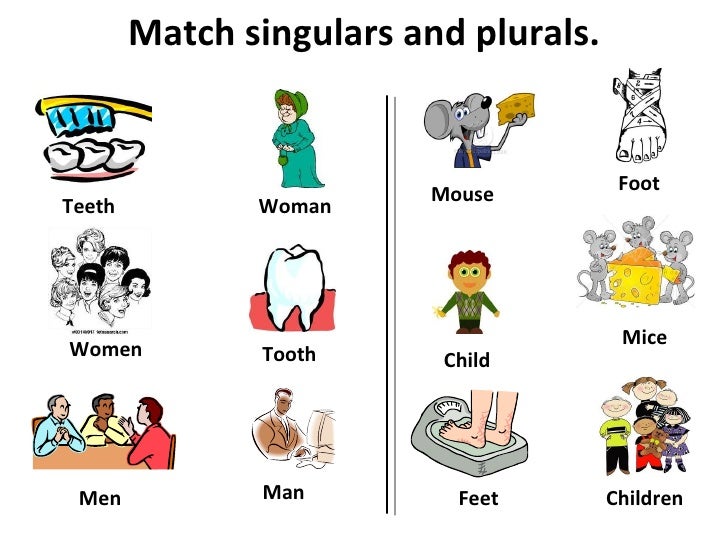 Singular and plural_nouns 2