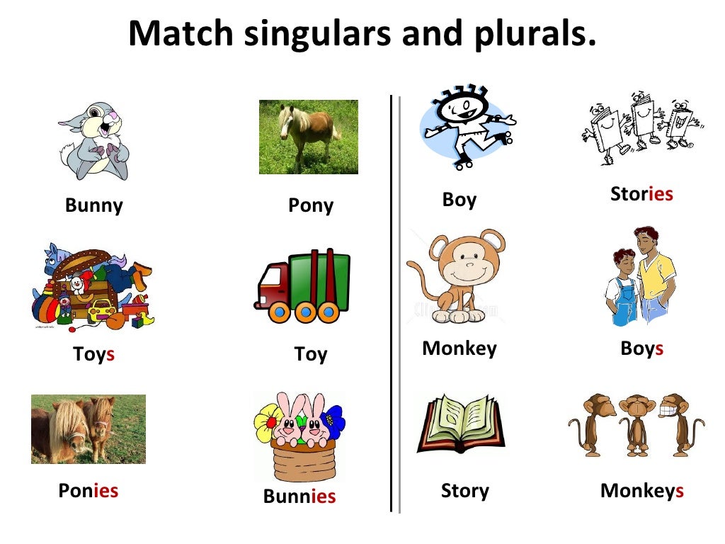 Singular and plural_nouns 2