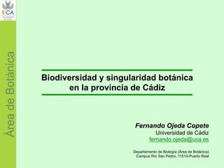 Fernando Ojeda Copete
Universidad de Cádiz
fernando.ojeda@uca.es
Departamento de Biología (Área de Botánica)
Campus Río San Pedro, 11510-Puerto Real
Biodiversidad y singularidad botánica
en la provincia de Cádiz
ÁreadeBotánica
 