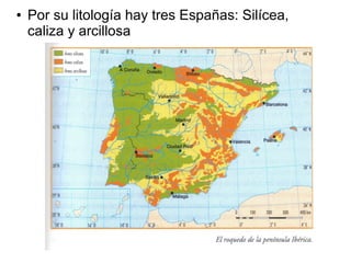 ● Por su litología hay tres Españas: Silícea,
caliza y arcillosa
 