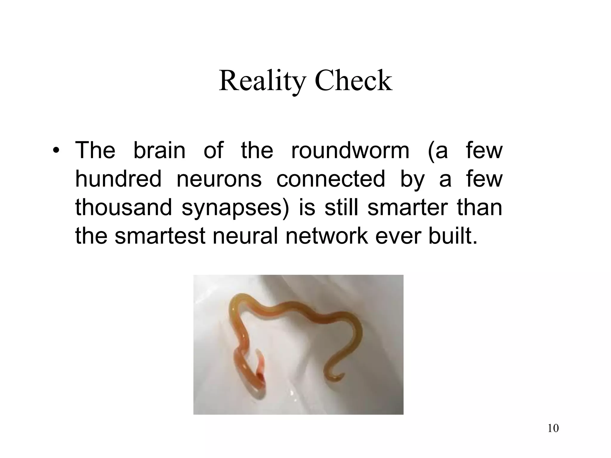 10
Reality Check
• The brain of the roundworm (a few
hundred neurons connected by a few
thousand synapses) is still smarter than
the smartest neural network ever built.
 