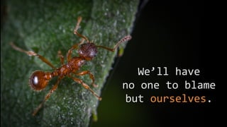 We’ll have
no one to blame
but ourselves.
 