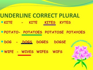 UNDERLINE CORRECT PLURAL
KITE - KITE KITES KYTES
POTATO- POTATOES POTATOSE POTAYOES
DOG - DOGS DOGES DOGSE
WIFE - WIVES WIFES WIFS
 