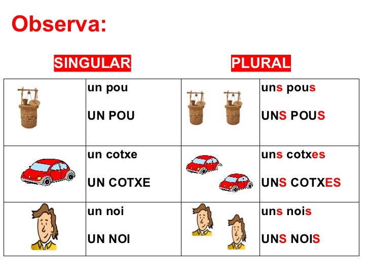 Singular plural aa