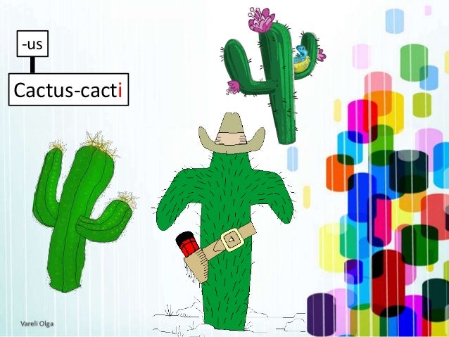 plural of cactus