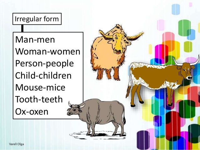 Singular plural form of nouns