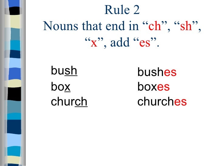 Lesson 7 Singular and Plural Nouns