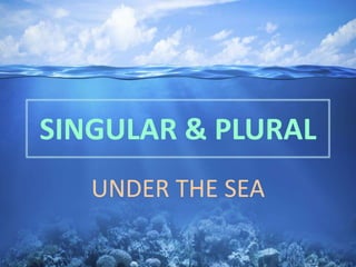 SINGULAR & PLURAL
UNDER THE SEA
 