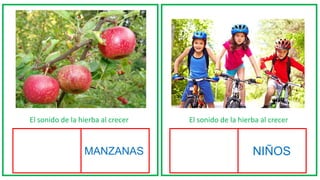El sonido de la hierba al crecer El sonido de la hierba al crecer
MANZANAS NIÑOS
 