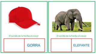 El sonido de la hierba al crecer El sonido de la hierba al crecer
GORRA ELEFANTE
 