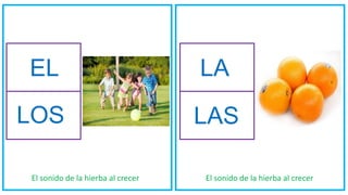 El sonido de la hierba al crecer El sonido de la hierba al crecer
EL
LOS
LA
LAS
 