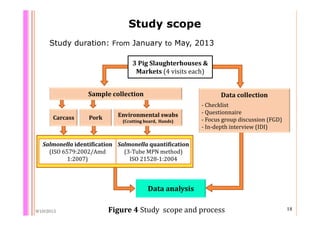Quantifying Salmonella spp. in pig slaughterhouses and pork markets associated with human health in Hung Yen, Vietnam