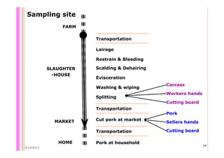 Quantifying Salmonella spp. in pig slaughterhouses and pork markets associated with human health in Hung Yen, Vietnam