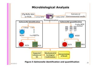 Quantifying Salmonella spp. in pig slaughterhouses and pork markets associated with human health in Hung Yen, Vietnam