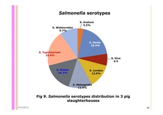Quantifying Salmonella spp. in pig slaughterhouses and pork markets associated with human health in Hung Yen, Vietnam