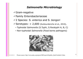 Quantifying Salmonella spp. in pig slaughterhouses and pork markets associated with human health in Hung Yen, Vietnam