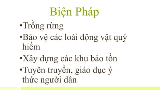 Biện Pháp
•Trồng rừng
•Bảo vệ các loài động vật quý
hiếm
•Xây dựng các khu bảo tồn
•Tuyên truyền, giáo dục ý
thức người dân
 