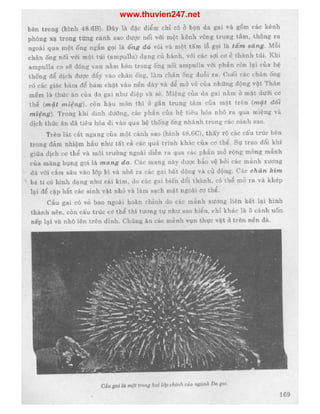 www.thuvien247.net
 