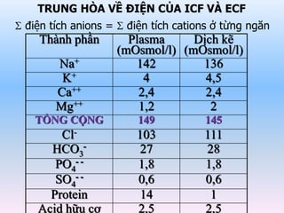  điện tích anions =  điện tích cations ở từng ngăn
Thành phần Plasma
(mOsmol/l)
Dịch kẽ
(mOsmol/l)
Na+ 142 136
K+ 4 4,5
Ca++ 2,4 2,4
Mg++ 1,2 2
TỔNG CỘNG 149 145
Cl- 103 111
HCO3
- 27 28
PO4
- - 1,8 1,8
SO4
- - 0,6 0,6
Protein 14 1
Acid hữu cơ 2,5 2,5
TRUNG HÒA VỀ ĐIỆN CỦA ICF VÀ ECF
 