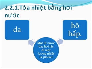 2.2.1.Tỏ a nhiệ t bằ ng hơ i
nướ c
 
