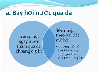 a. Bay hơ i nướ c qua da
 