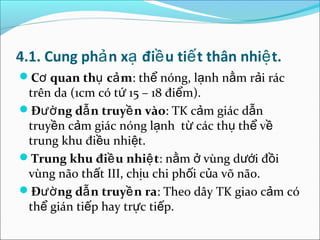 4.1. Cung phả n xạ điề u tiế t thân nhiệ t.
Cơ quan thụ cả m: thể nóng, lạnh nằm rải rác
 trên da (1cm có tứ 15 – 18 điểm).
Đườ ng dẫ n truyề n vào: TK cảm giác dẫn
 truyền cảm giác nóng lạnh từ các thụ thể về
 trung khu điều nhiệt.
Trung khu điề u nhiệ t: nằm ở vùng dưới đồi
 vùng não thất III, chịu chi phối của võ não.
Đườ ng dẫ n truyề n ra: Theo dây TK giao cảm có
 thể gián tiếp hay trực tiếp.
 