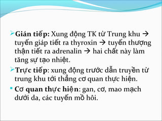 Gián tiế p: Xung động TK từ Trung khu 
  tuyến giáp tiết ra thyroxin  tuyến thượng
  thận tiết ra adrenalin  hai chất này làm
  tăng sự tạo nhiệt.
Trự c tiế p: xung động trước dẫn truyền từ
  trung khu tới thẳng cơ quan thực hiện.
 Cơ quan thự c hiệ n: gan, cơ, mao mạch
  dưới da, các tuyến mồ hôi.
 