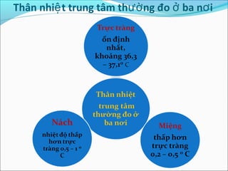 Thân nhiệ t trung tâm thườ ng đo ở ba nơ i
 