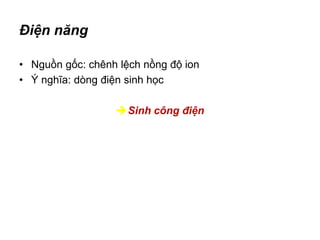 Điện năng
• Nguồn gốc: chênh lệch nồng độ ion
• Ý nghĩa: dòng điện sinh học
Sinh công điện
 