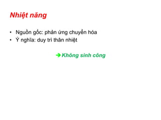 Nhiệt năng
• Nguồn gốc: phản ứng chuyển hóa
• Ý nghĩa: duy trì thân nhiệt
Không sinh công
 