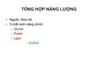 TỔNG HỢP NĂNG ƯỢN
• Nguồn: thức ăn
• 3 chất sinh năng chính:
– Glucid
– Protid
– Lipid
C-H-O
 
