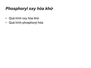 Phosphoryl oxy hóa khử
• Quá trình oxy hóa khử
• Quá trình phosphoryl hóa
 