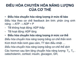 ĐIỀU HÒA CHUYỂN HÓA NĂNG ƯỢN
CỦA CƠ THỂ
• Điều hòa chuyển hóa năng lượng ở mức tế bào
Điều hòa theo cơ chế feedback âm tính: phản ứng sinh
năng → ATP → ADP + P
- TB không hoạt động: ADP thấp
- TB hoạt động: ADP tăng
• Điều hòa chuyển hóa năng lượng ở mức cơ thể
Điều hòa chuyển hóa năng lượng bằng cơ chế thần kinh
Kích thích thần kinh giao cảm, TT tâm điều nhiệt …
Điều hòa chuyển hóa năng lượng bằng cơ chế thể ịc
Các hormon sau làm tăng chuyển hóa năng lượng: T3, T4 ,
catecholamin, cortisol; insulin, glucagon, GH,
 