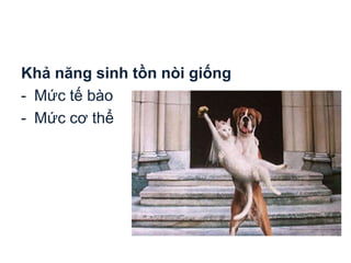Khả năng sinh tồn nòi giống
- Mức tế bào
- Mức cơ thể
 