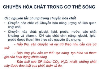 CHUYỂN HÓA CHẤT TRONG CƠ THỂ SỐNG
Các nguyên tắc chung trong chuyển hóa chất
• Chuyển hóa chất và Chuyển hóa năng lượng có liên quan
chặt chẽ.
• Chuyển hóa chất: glucid, lipid, protid, nước, các chất
khoáng và vitamin. CH các chất sinh năng: glucid, lipid,
protid được thực hiện theo các nguyên tắc chung:
- Hấp thu, vận chuyển và dự trữ theo nhu cầu của cơ
thể:
- Đáp ứng yêu cầu cơ thể: tạo năng, tạo hình và tham
gia các hoạt động chức năng.
- Đào thải các SP thừa: CO2, H2O, nhiệt, những chất
này được đào thải qua phổi, thận và da.
 